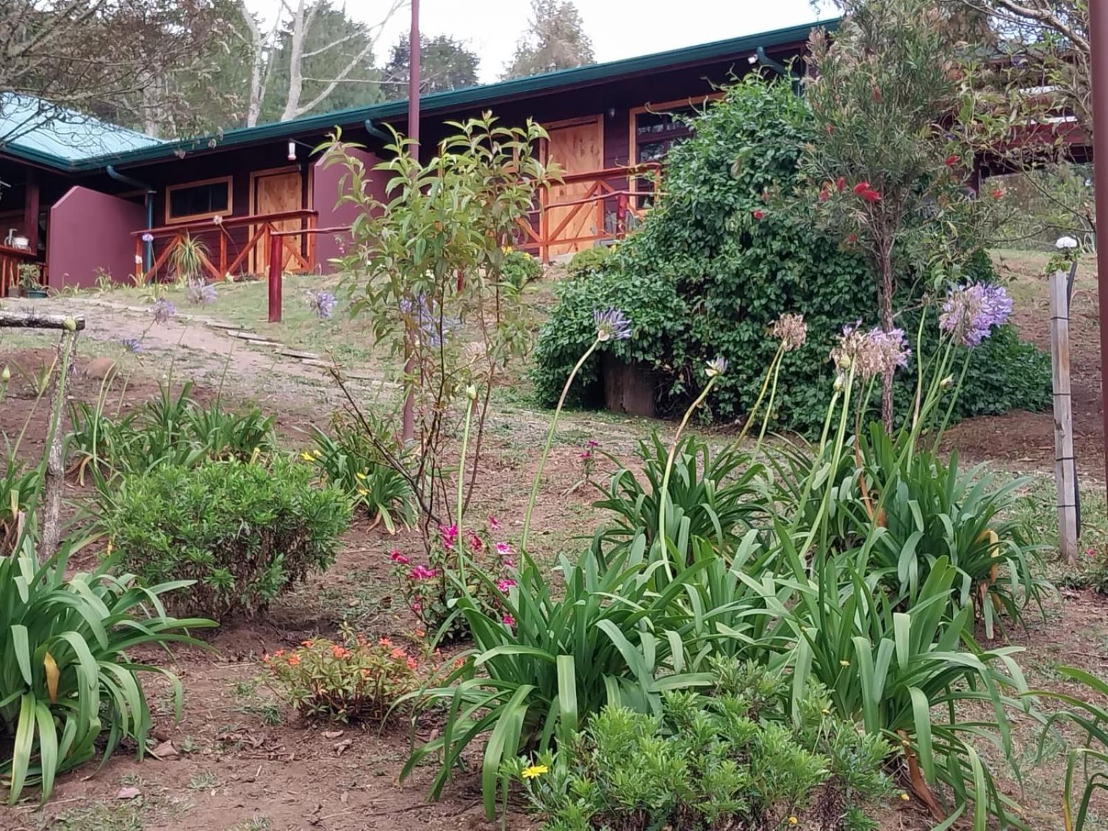 Curuba Lodge Copey Exterior foto